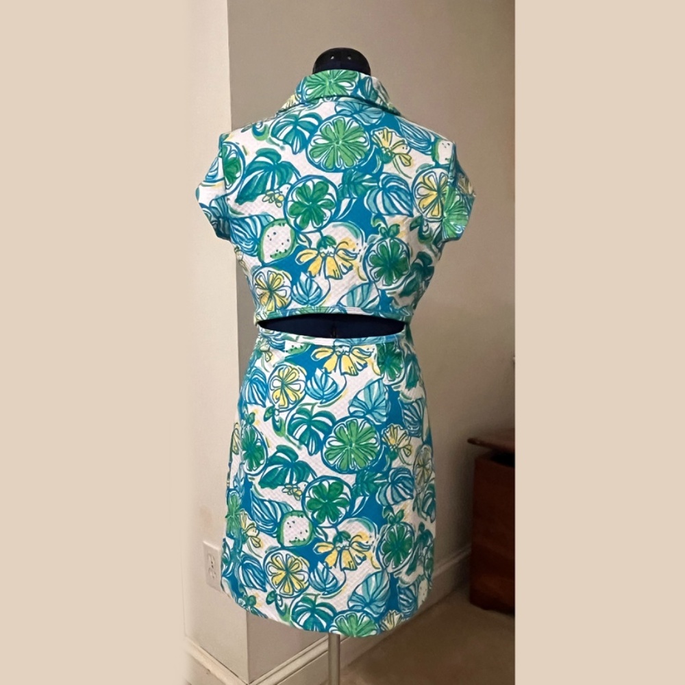 Lilly Pulitzer Rayna Sweet & Sour Knit Pique Polo Dress - Picture 3 of 6